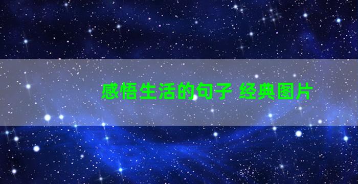 感悟生活的句子 经典图片